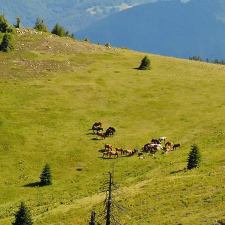 Evergreen Rhodope Retreat * Smolyan
