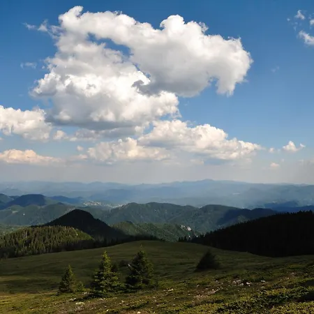 Evergreen Rhodope Retreat * Смолян