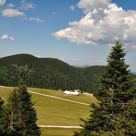 Апартаменты Evergreen Rhodope Retreat Смолян